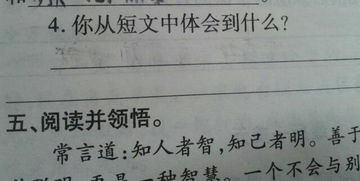 欣赏是一种善良阅读答案六年级过渡句，欣赏是一种善良作文600字记叙文