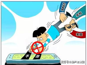 未成年保护的法律法规宣传，未成年保护的法律法规关于校园欺凌