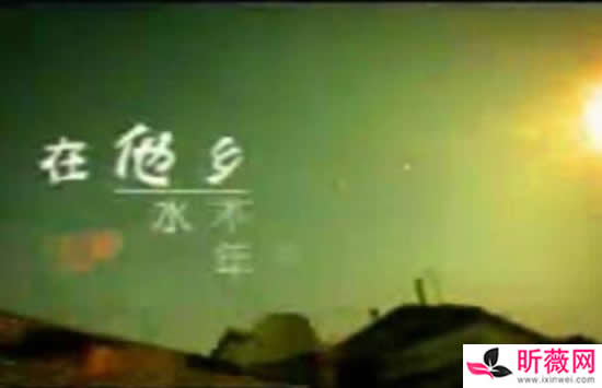 在他乡歌词