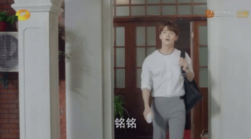 tittle的中文翻译，tittle-tattle翻译