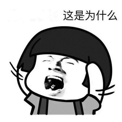 我不快乐是什么歌，我不快乐下一句歌词