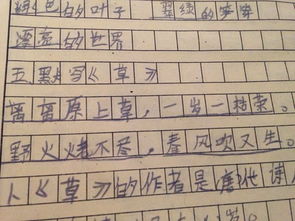 互为反义词的词语快
