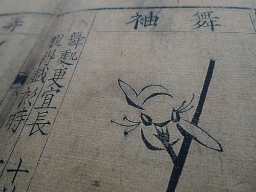 鲁迅的《自题小像》