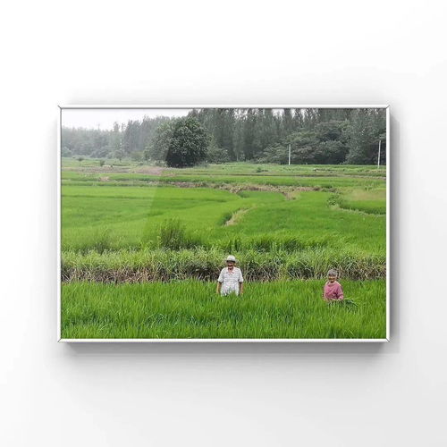 村夫是什么意思，村夫烤鱼