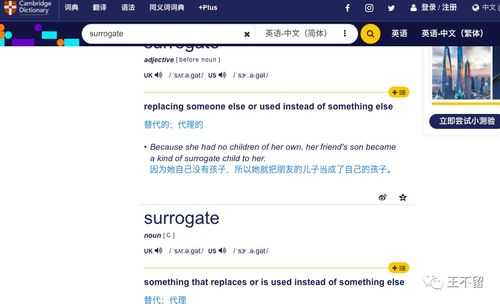 surrogate model，surrogates电影简介