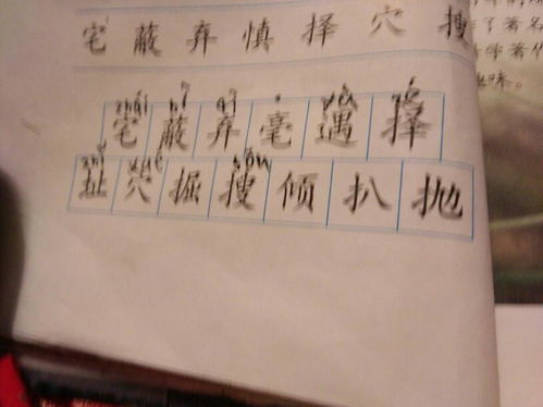 都组词有哪些词语