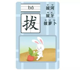 这里,记者,居住,桌子,抓住,丝瓜,这些字的拼音
