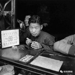 stamp是什么意思中文