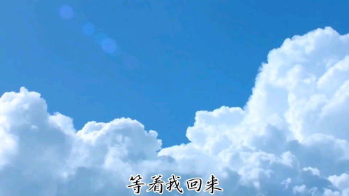 白云朵朵它是小鸟的什么，白云朵朵文案