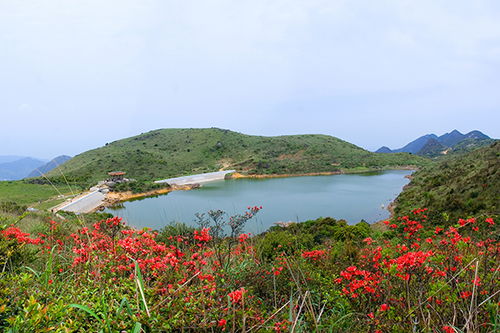 凤凰山上旅游景点介绍 凤凰山的旅游景点