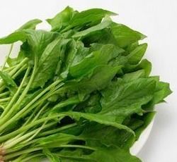 春季菜品，春季菜花种植技术及管理