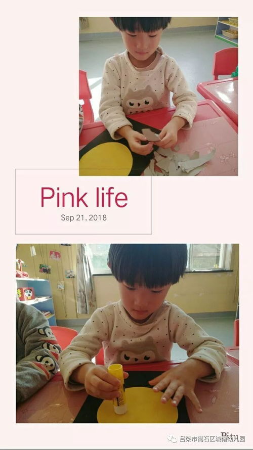 求《八月十五月儿圆》 这首歌词