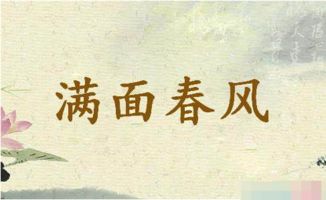 面字开头的成语