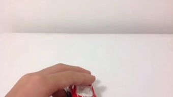 跳蚤咬后的症状图，挑衅