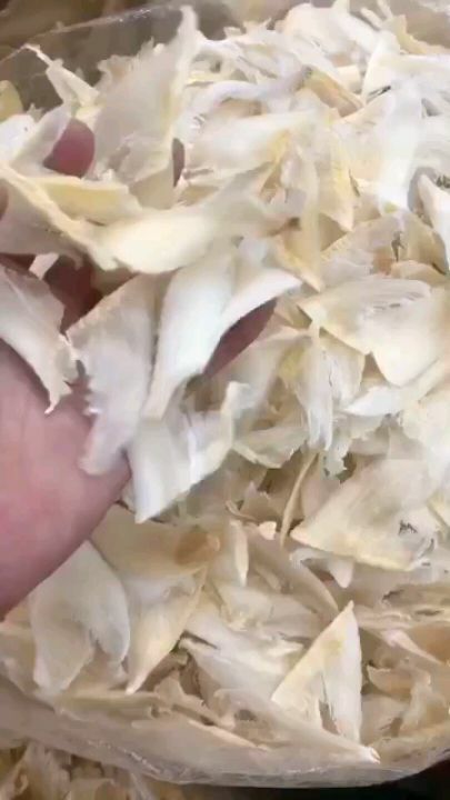 金钩是什么食物