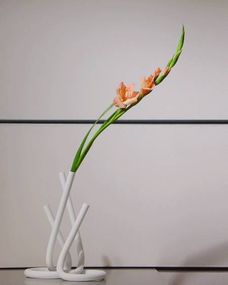 什么叫花管基坑支护?