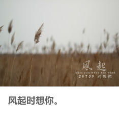 风起时想你全文免费阅读，风起时想你江小绿