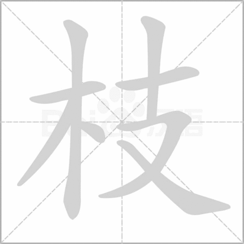 枝拼音怎么写