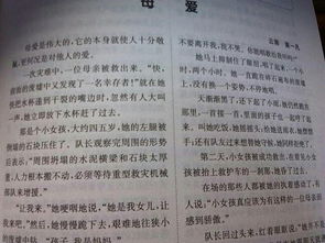 关怀作文
