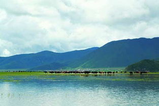 纳帕海在哪里