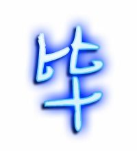 毕的笔顺笔画
