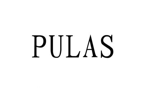 普拉斯plus，pulassi泳衣是哪国品牌