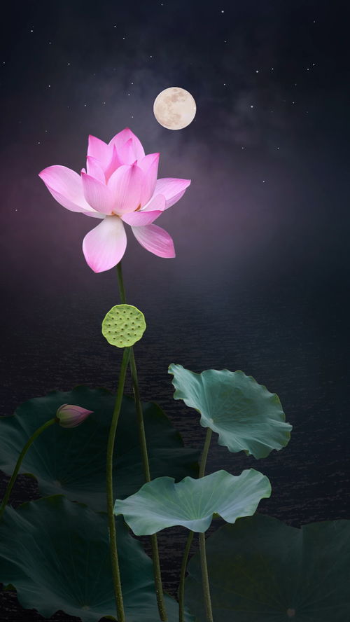 绻缱的近义词，绻缱什么意思?