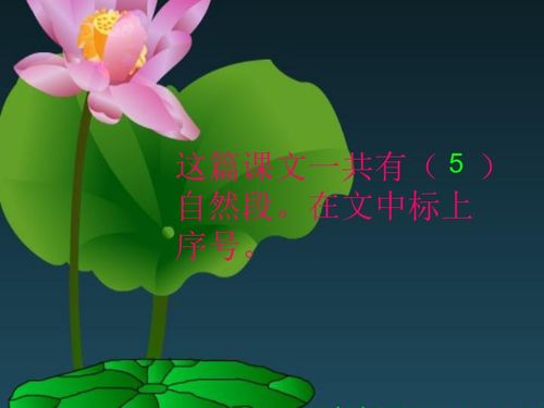 你喜欢短文中的荷叶伞吗?为什么?