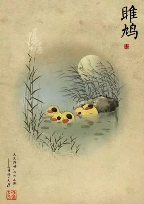 诗经关雎原文及翻译注释