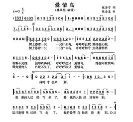 爱情鸟歌词表达的意思，爱情鸟歌词江映蓉