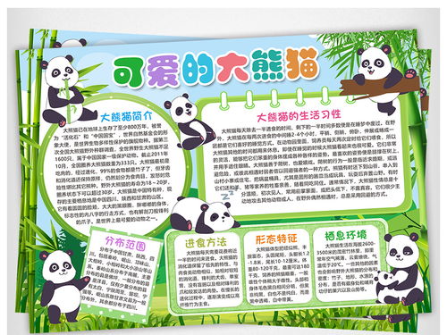 熊猫的手抄报怎么画简单