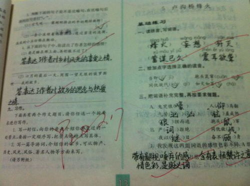 乡村素描的阅读答案四年级下册长江，乡村素描的阅读答案六年级上册