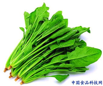 家庭炒菜大全菜谱春季