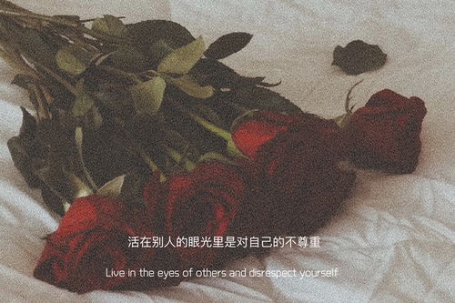 蓝桉跑过少年时2，蓝桉跑过少年时百度云