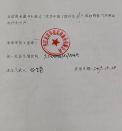 企业承诺书承诺内容怎么写，小微企业承诺书