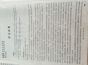 四年级语文阅读训练题
