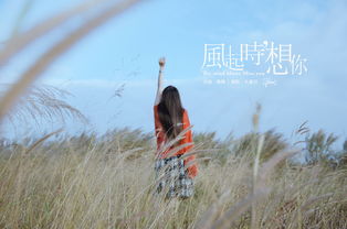 陈楚生的《风起时,想你》的歌词是什么?