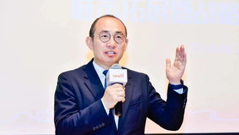 潘石屹的简介soho，潘石屹是什么人物?