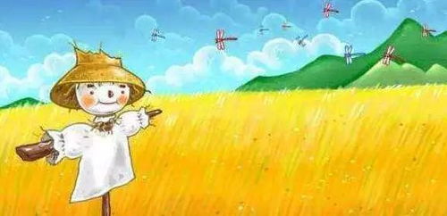 稻草人的故事内容简介，稻草人的故事全文阅读播放