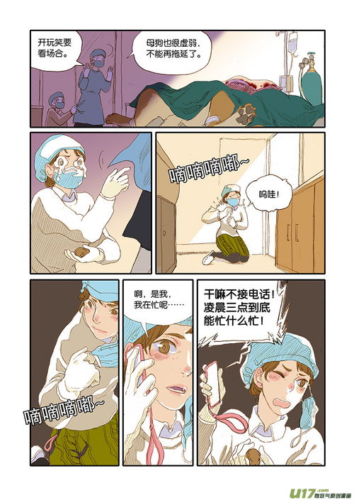 投奔的意思和造句，投奔是词语吗