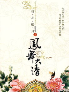 凤舞大清清穿，凤舞大清男主是谁