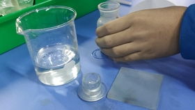 金属钠与水反应的现象，钠与水反应的现象五个字