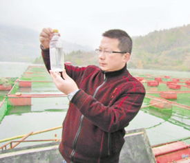 123小果怎样储存