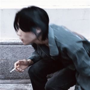 snake，seak公路车官网