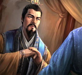 杨仪是忠臣还是反贼，杨仪老婆个人资料