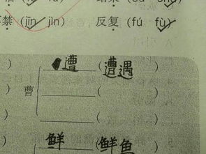 “曹”字的部首是什么?