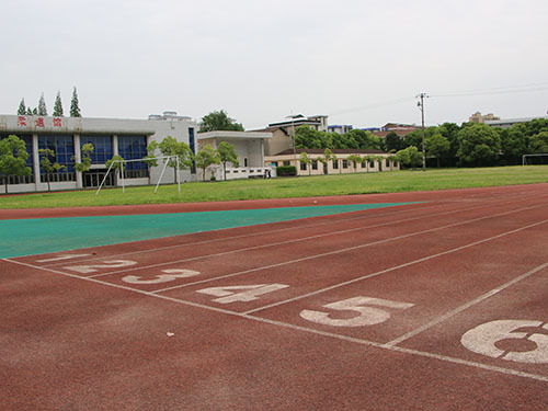 常德电脑专修大学，常德电脑学院