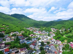 大冲村属于哪个镇，大冲村改造