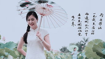 “乱入池中看不见,闻歌始觉有人来。”这句的理解