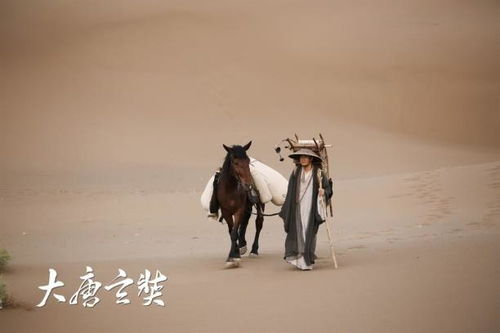 明流苏打水为什么那么便宜，明流厨房电器